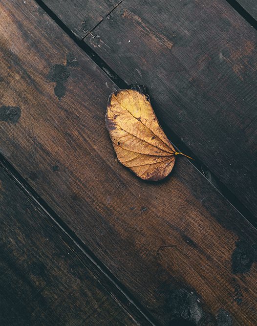 Warm Memories. Inspired? See Bronze Sunset in our Reflect Collection.